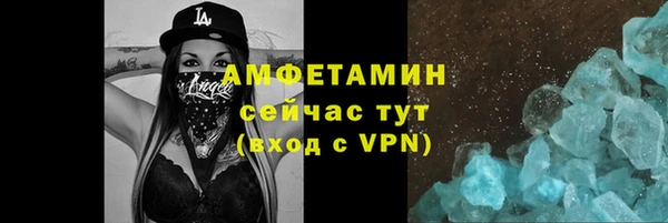 ГАЛЛЮЦИНОГЕННЫЕ ГРИБЫ Няндома