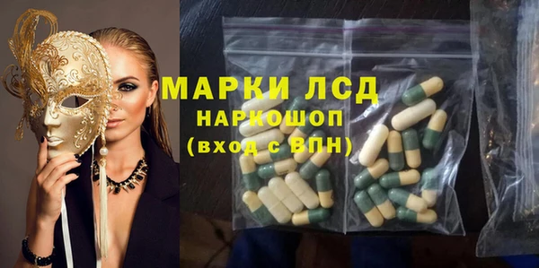 ГАЛЛЮЦИНОГЕННЫЕ ГРИБЫ Няндома
