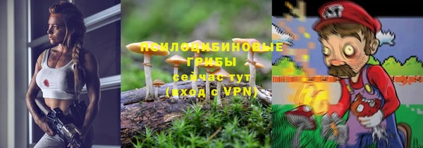 apvp Нягань