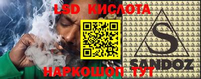 крисы Гагарин