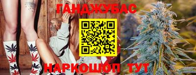крисы Гагарин