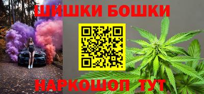 крисы Гагарин