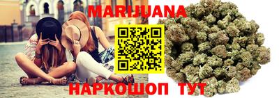 крисы Гагарин