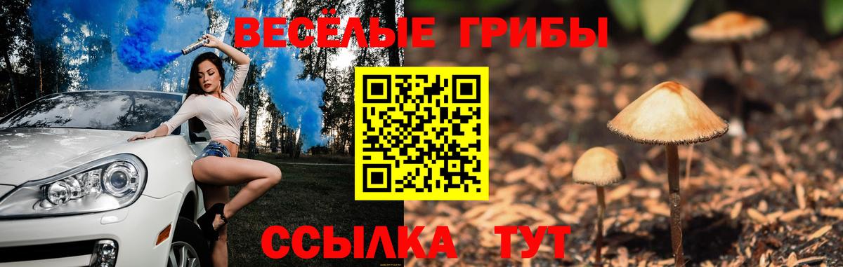 Псилоцибиновые грибы GOLDEN TEACHER Сертолово