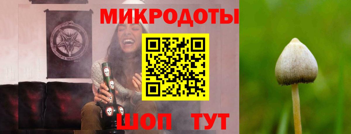 дарнет шоп  Галлюциногенные грибы Magic Shrooms  Вход с VPN  Сертолово 